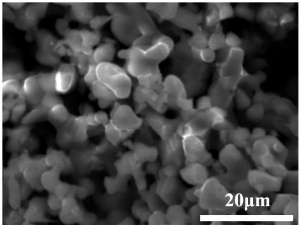 White long-afterglow luminescent material and preparation method thereof