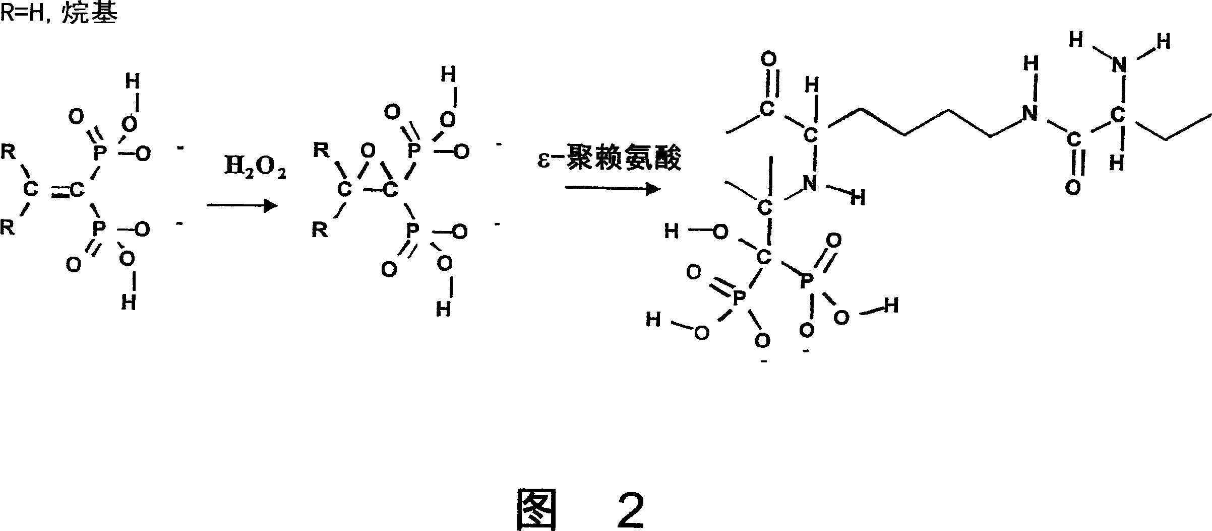 Anticariogenic proteins and peptides and saccharides