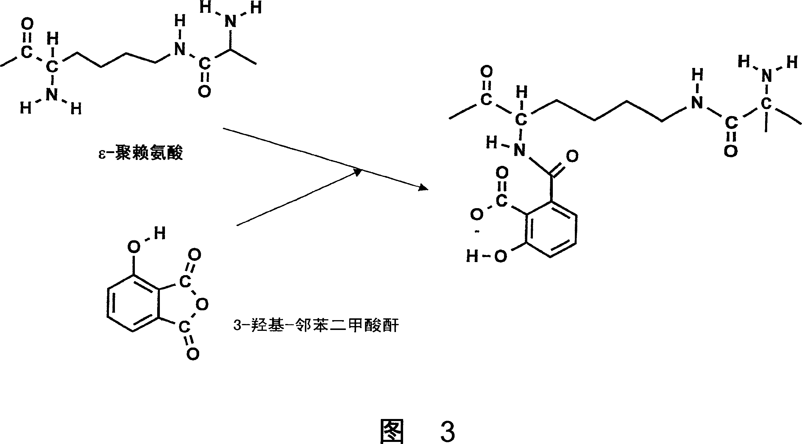 Anticariogenic proteins and peptides and saccharides