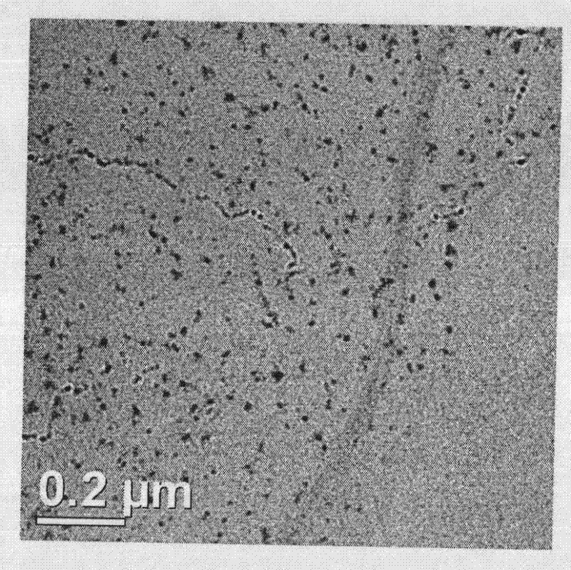 Preparation method of antibacterial dressing for promoting wound healing