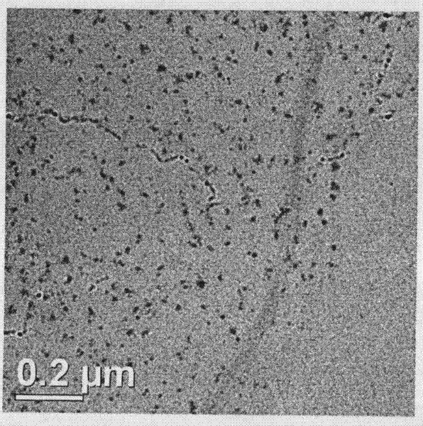 Preparation method of antibacterial dressing for promoting wound healing