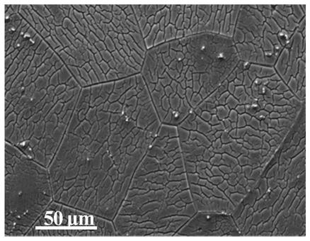 A pretreatment method for homogenizing chromium-free conversion coating on magnesium alloy