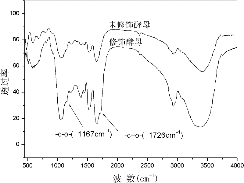 Modified beer waste yeast adsorbent, preparation method and application thereof