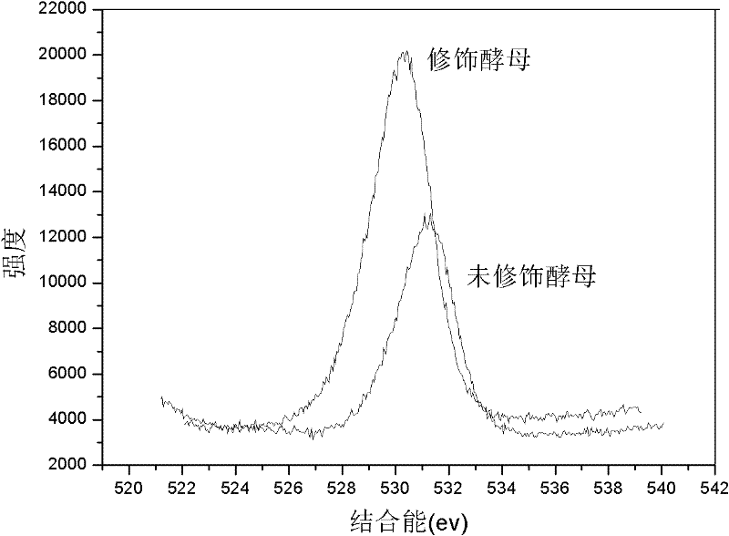 Modified beer waste yeast adsorbent, preparation method and application thereof