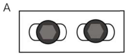 A Dynamic Friction System of Rock Structure Surface Based on Double Vibration Table