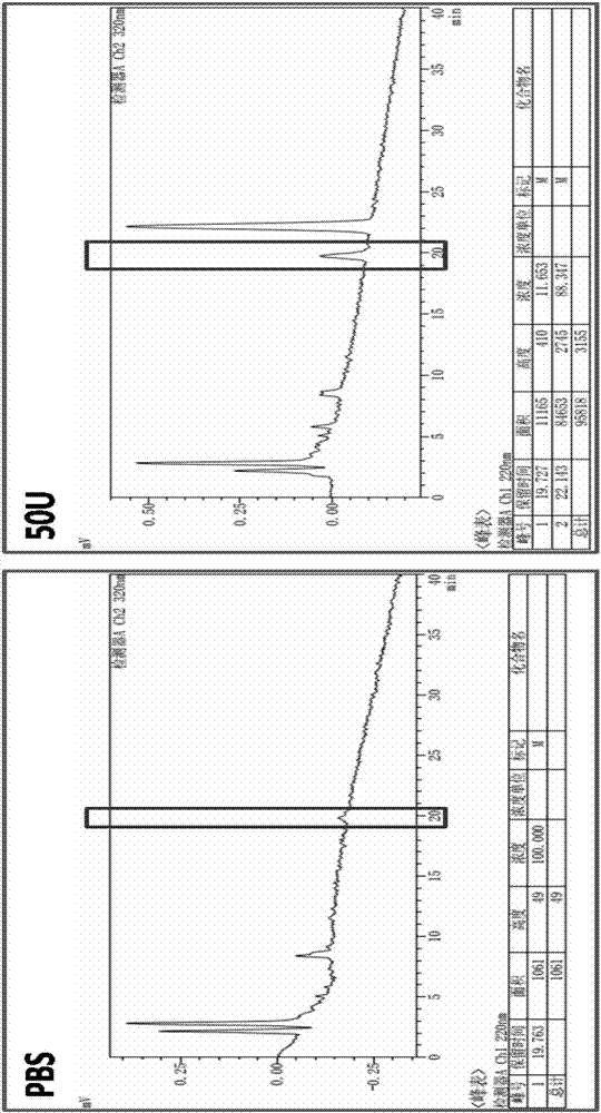 Preparation method of inflammation-response guided tissue regeneration membrane