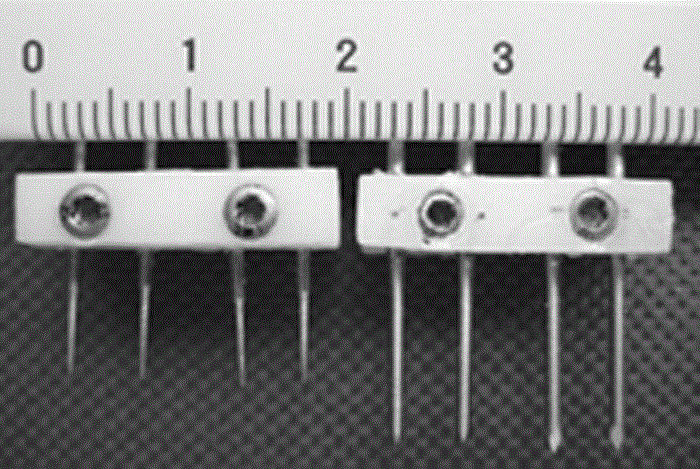 Non-connection model building method for hypertrophy bone connected with femoral shaft gristle of big mouse