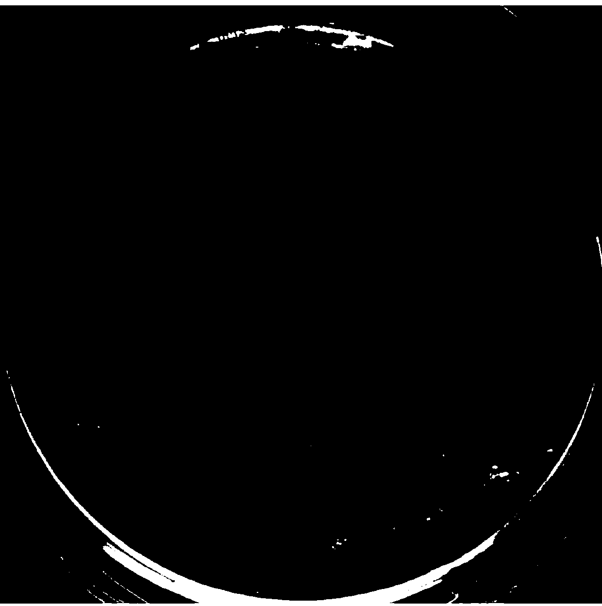 Preparation method of electrophilic microbial preparation and application of electrophilic microbial preparation in treatment of uranium-containing wastewater