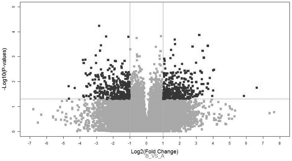 Application of STC2 gene as colorectal cancer liver metastasis molecular marker