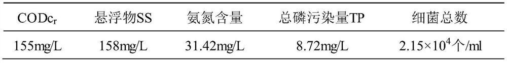 A kind of composite water purifying agent and its preparation method and application