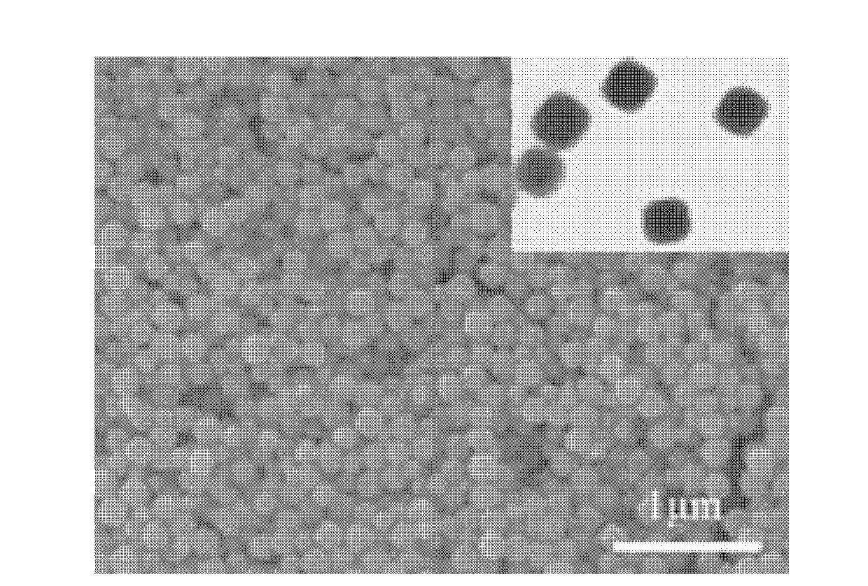 Preparation method of cobaltosic oxide nano cage and cobaltosic oxide nano cage prepared by adopting same