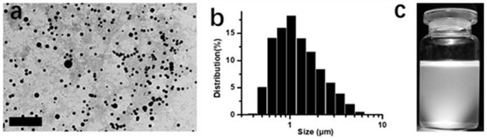 New application of sevelamer