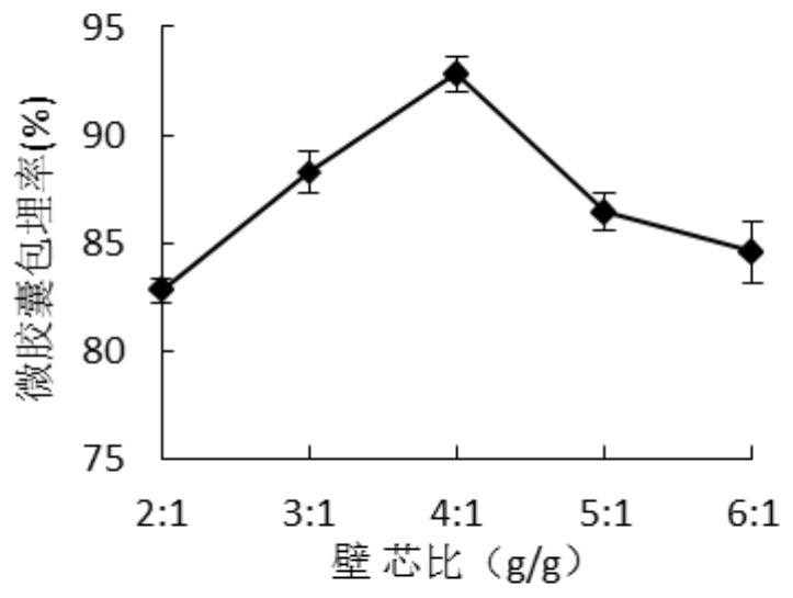 Preparation method of rhododendron pulchrum anthocyanin microcapsules, and product and application of rhododendron pulchrum anthocyanin microcapsules