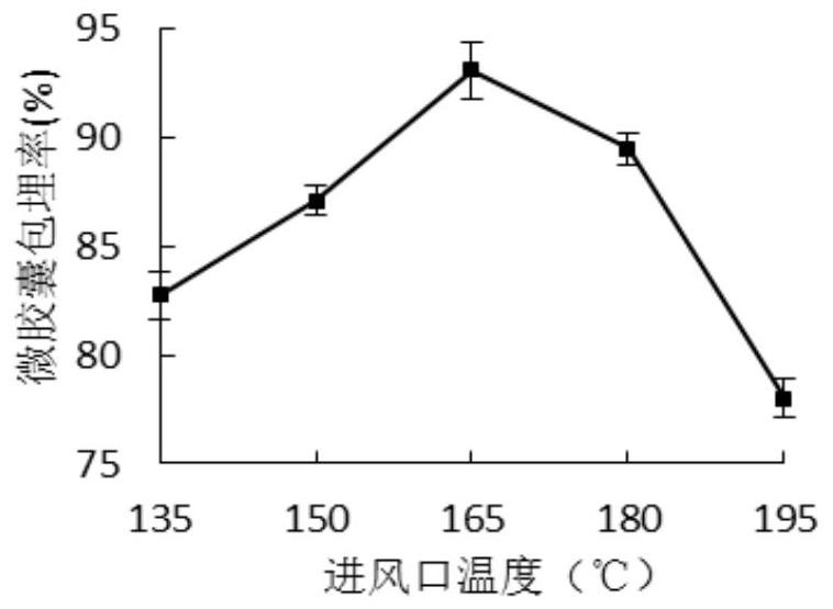 Preparation method of rhododendron pulchrum anthocyanin microcapsules, and product and application of rhododendron pulchrum anthocyanin microcapsules