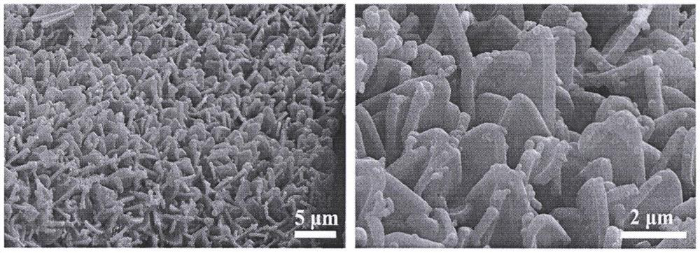 a kind of ceo  <sub>2</sub> Nanoparticle-modified co  <sub>3</sub> the s  <sub>4</sub> Preparation method of nanosheet array