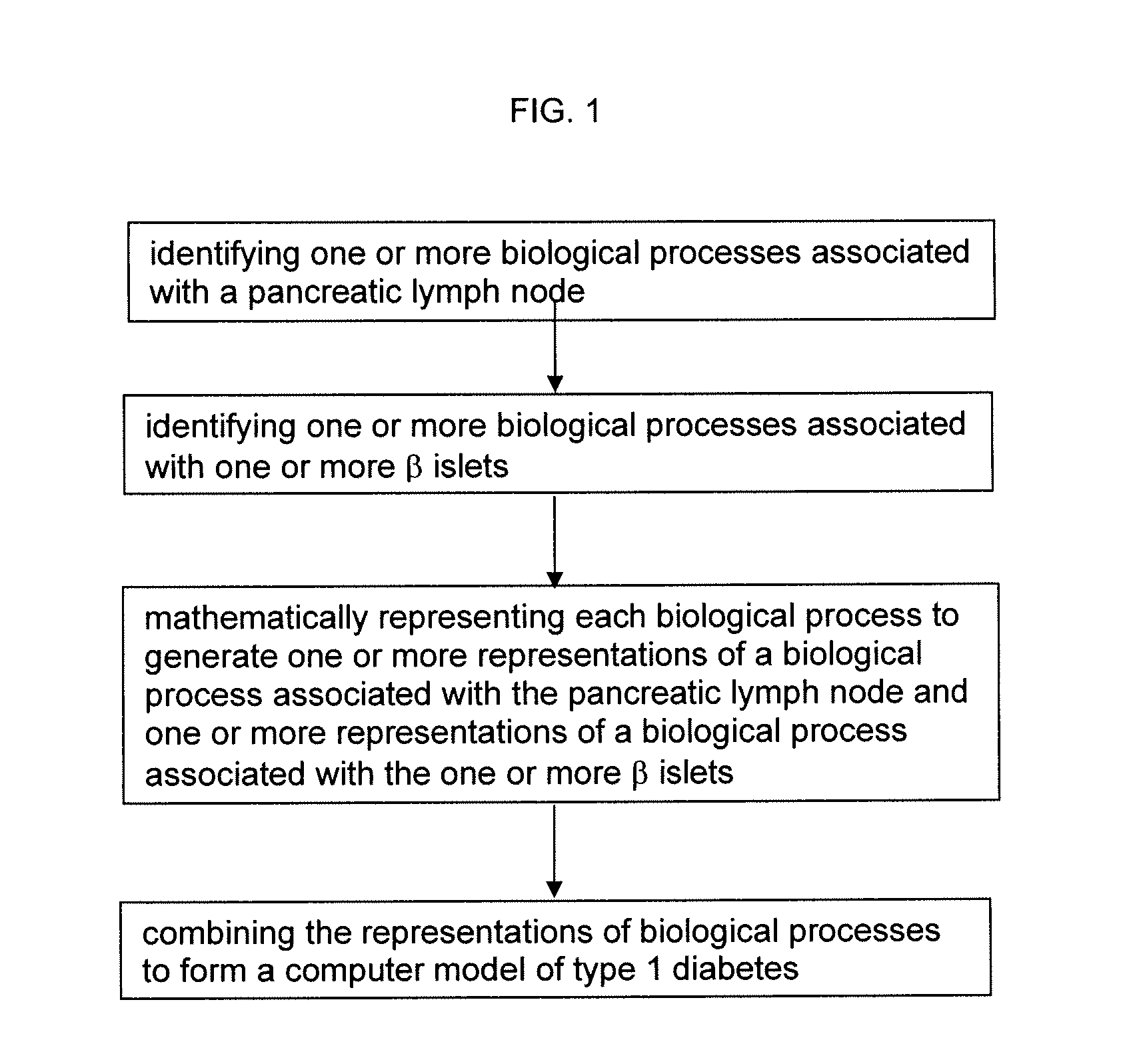 Apparatus and method for computer modeling type 1 diabetes