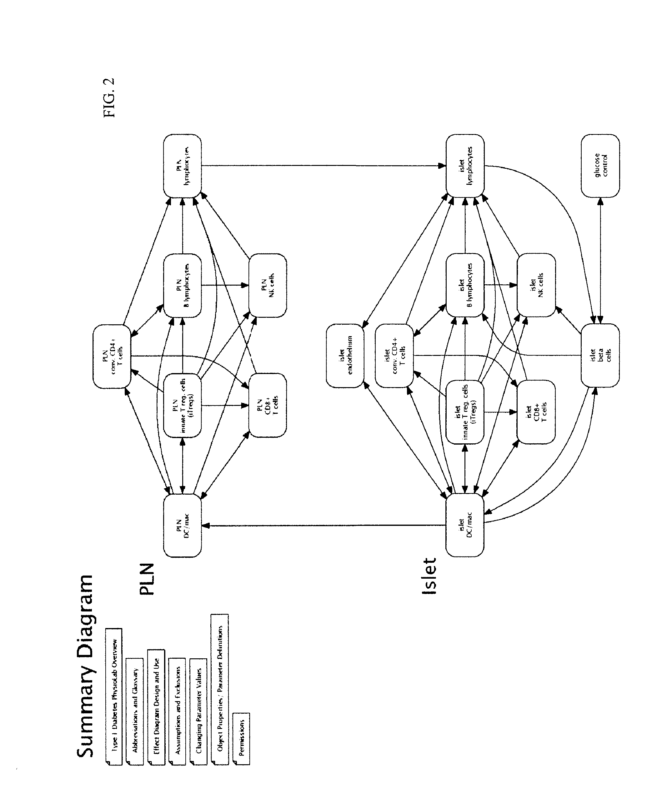 Apparatus and method for computer modeling type 1 diabetes