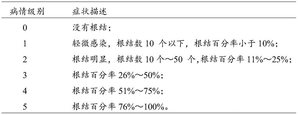 Hook-like trichoderma strain and application thereof