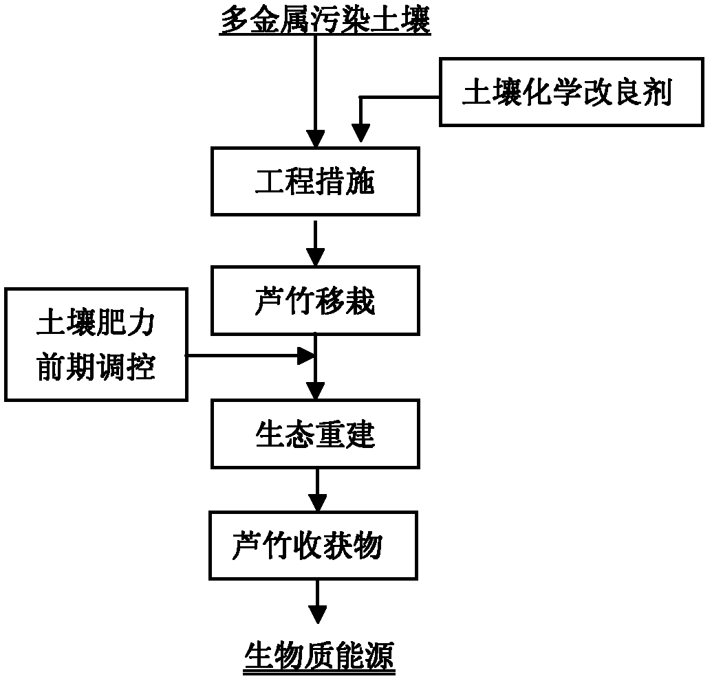 Chemical-giant reed combined ecological recovery method of polymetal polluted soil in mining and metallurgy zones