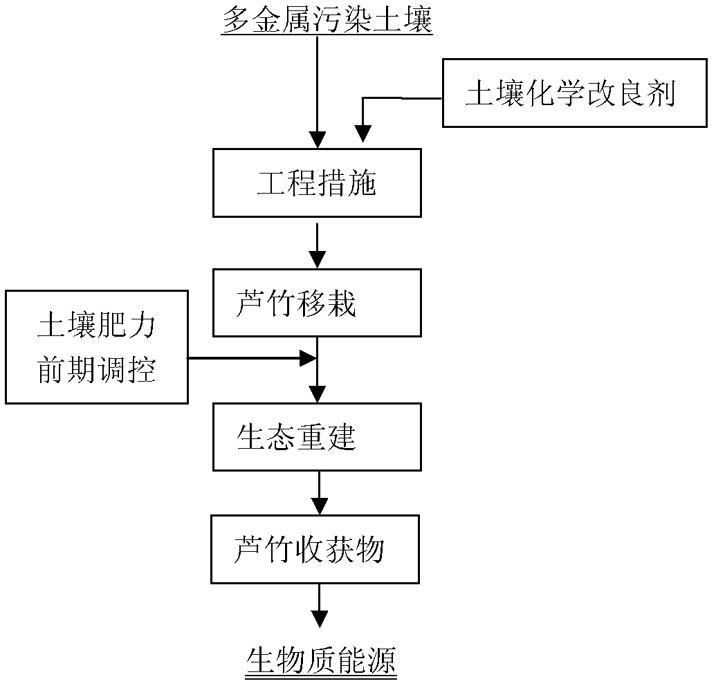 Chemical-giant reed combined ecological recovery method of polymetal polluted soil in mining and metallurgy zones