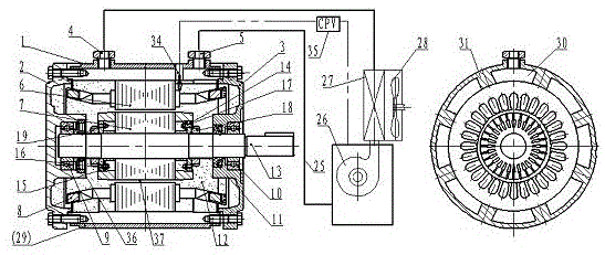 Oil internal circulation cooling motor