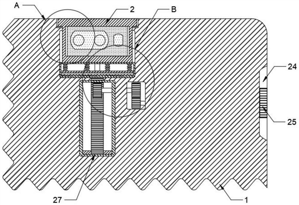 Touch display screen with liftable camera