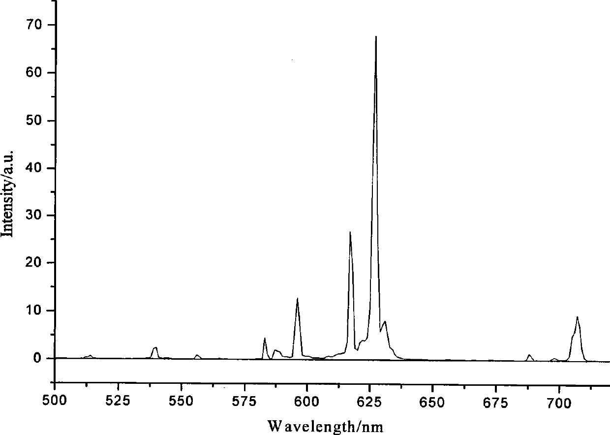 Red long afterglow luminous material and preparing process thereof