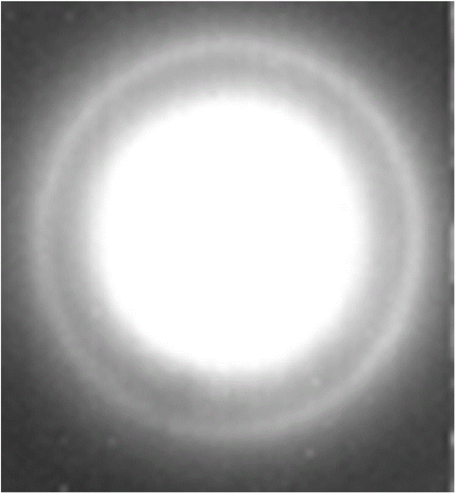 Selenium nano-particles and preparation method thereof