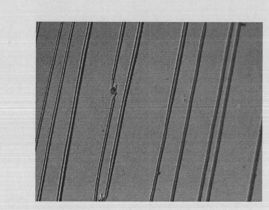 Double-PZT symmetrical integrated large-strain loading device