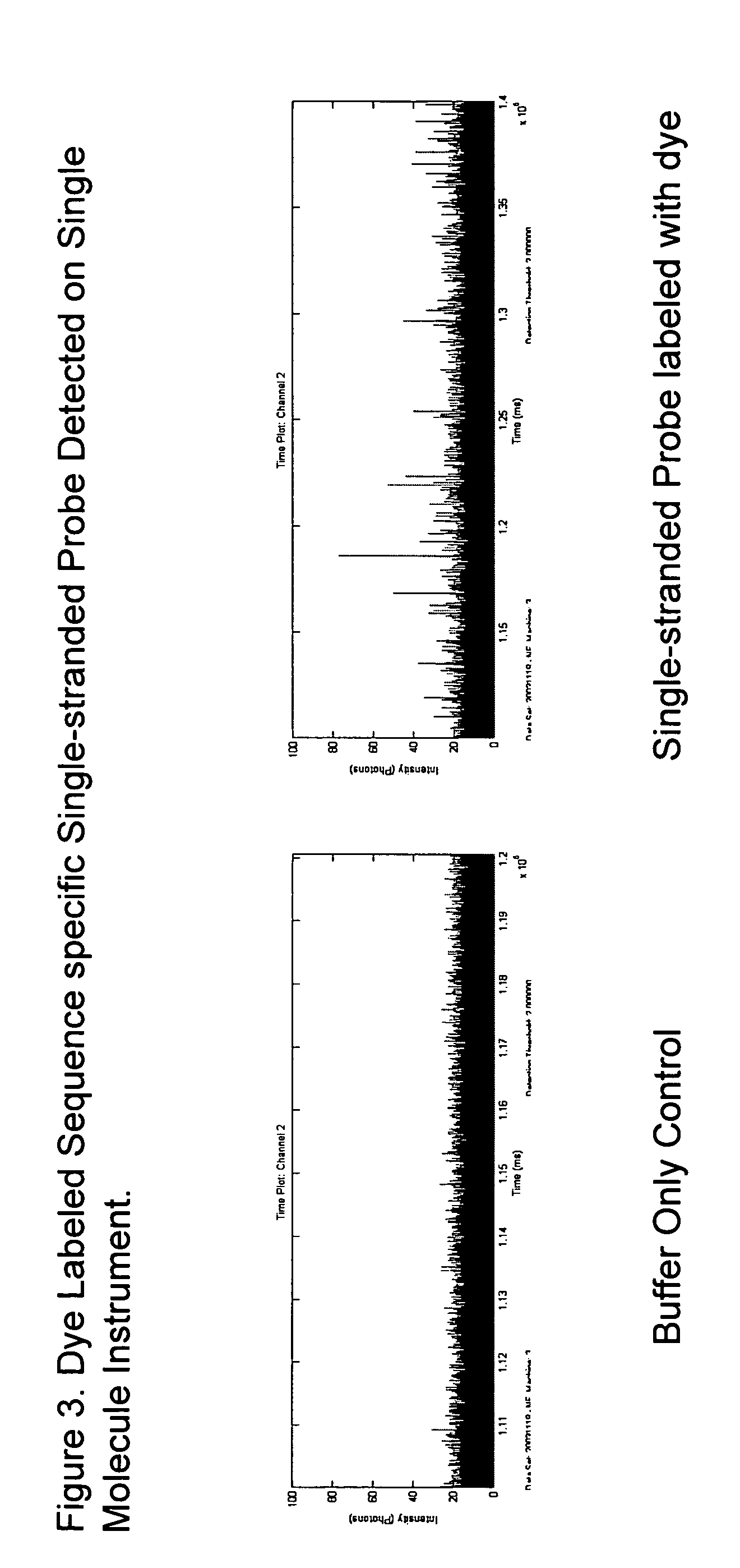 Preparation of defined highly labeled probes