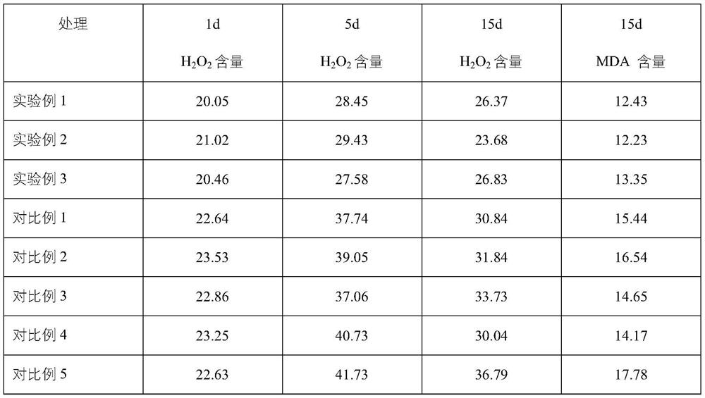 A cultivation method for improving the salt tolerance of the Sessile Ficus microphylla plug seedlings