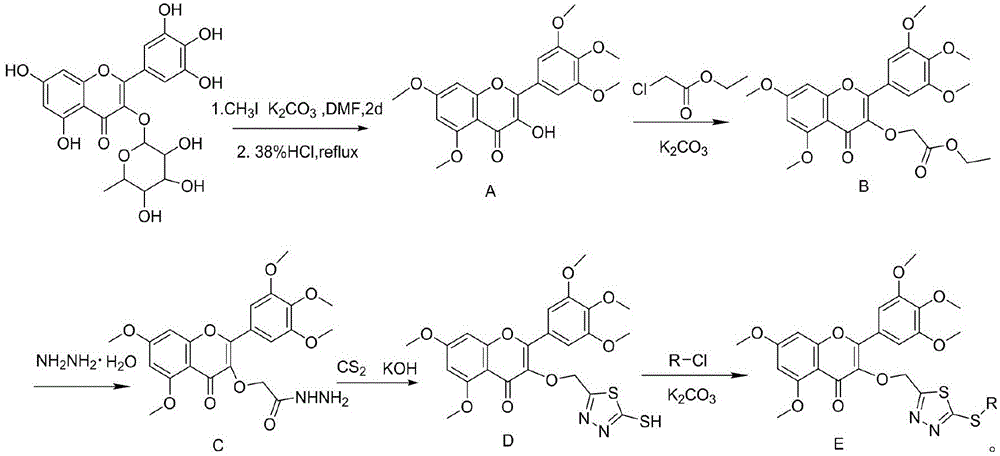 Myricetin derivative containing thiadiazole thioether structure and preparation method thereof