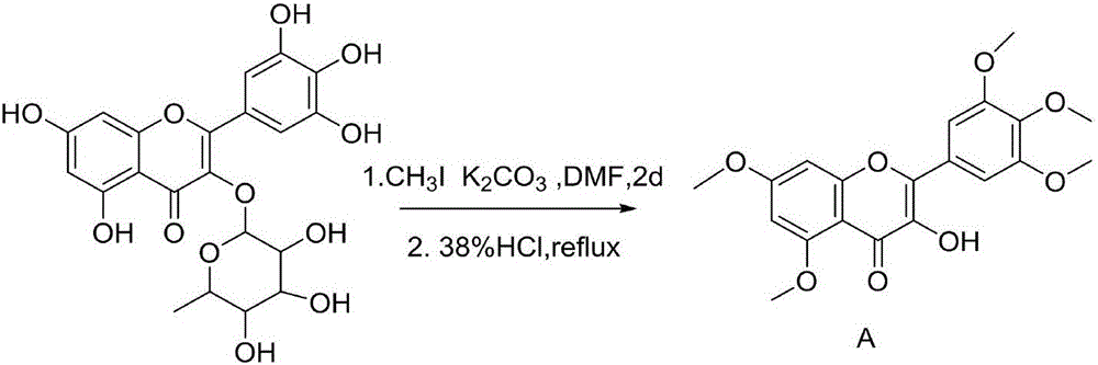 Myricetin derivative containing thiadiazole thioether structure and preparation method thereof