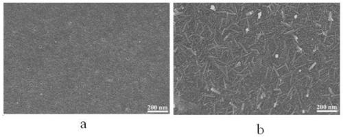 A kind of bipolar membrane with porous anodic membrane as base material and preparation method thereof