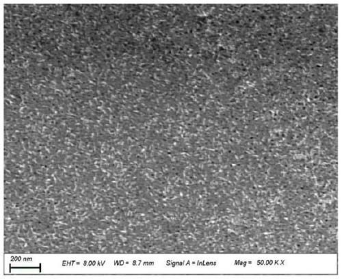 A kind of bipolar membrane with porous anodic membrane as base material and preparation method thereof