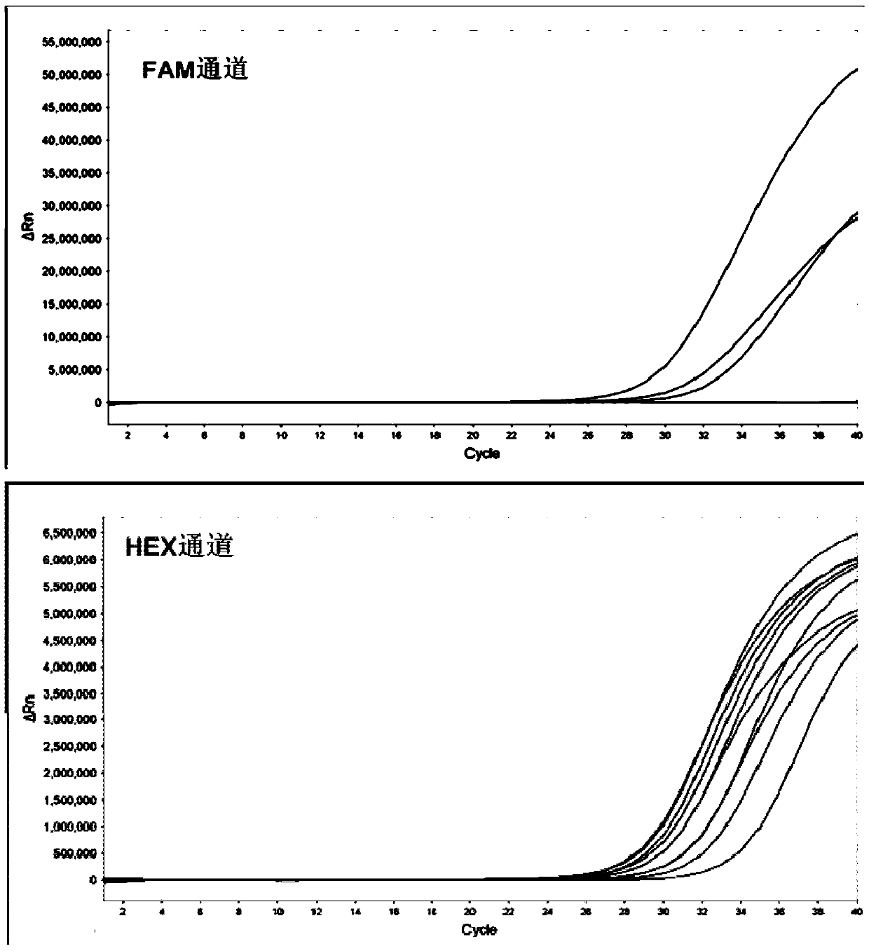 A method for detecting esr1 gene mutation based on fluorescent PCR technology