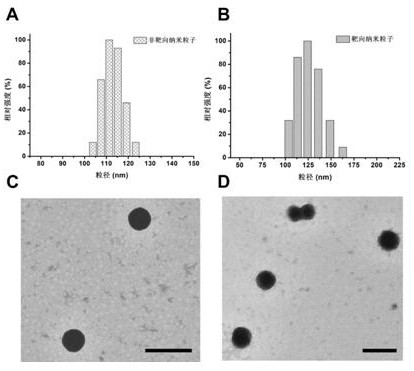 A kind of siRNA drug carrier polymer and its preparation method and application in siRNA targeted delivery