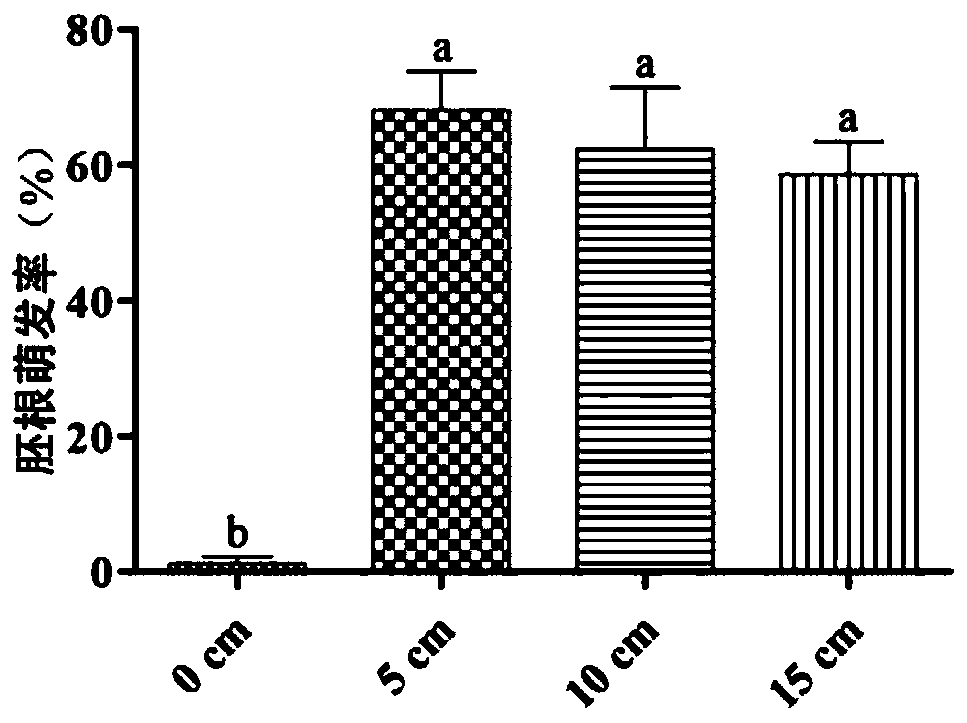 Cultivation method of paeonia ludlowii