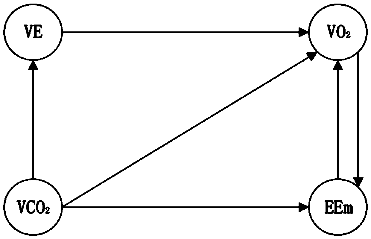 Fatigue state causal network method based on multi-source data information