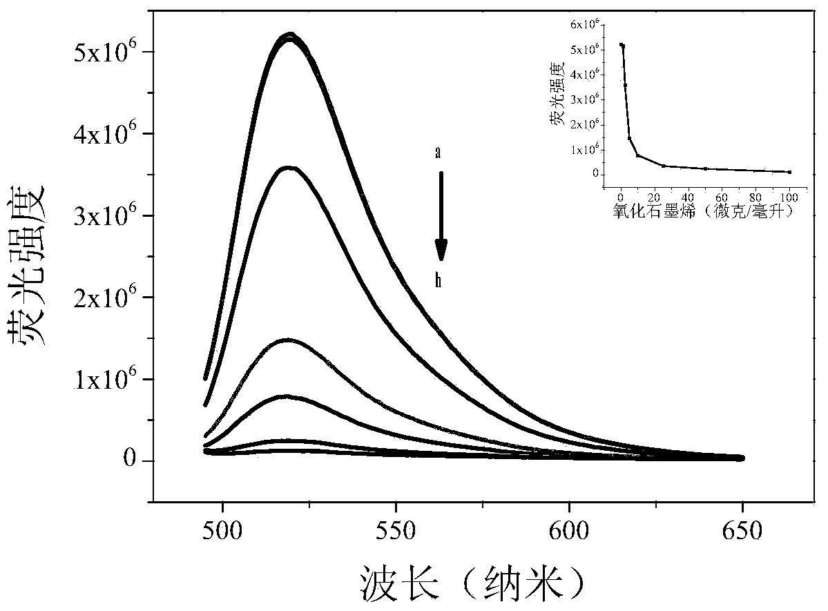 DNA methylation detection method based on graphene oxide and restriction enzyme and kit thereof