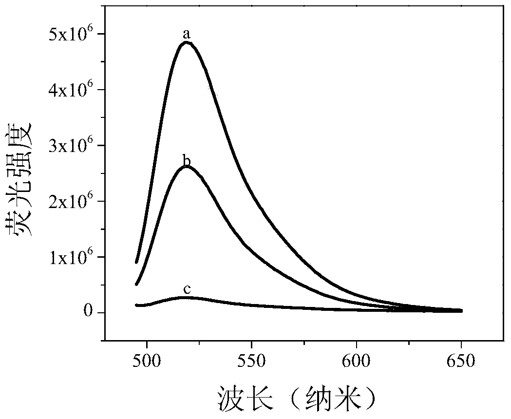 DNA methylation detection method based on graphene oxide and restriction enzyme and kit thereof