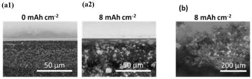 Lithium metal protective layer and preparation method thereof and battery with protective layer