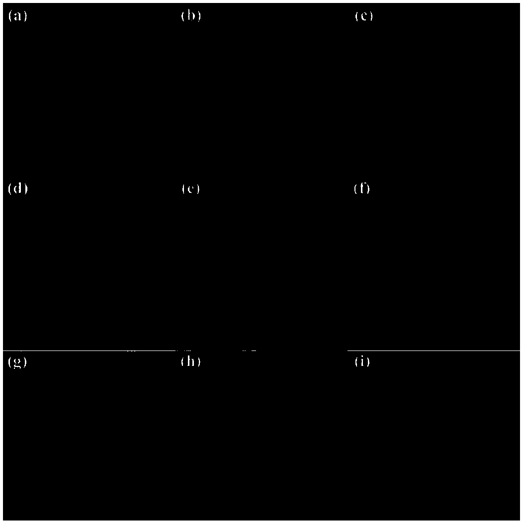 Ferrocene-lanthanide-series metal compound and preparation method and application thereof