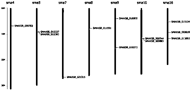 Multi-gene family identification and evolution analysis method