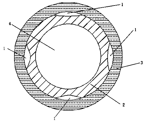 Nerve conduit and preparation method thereof