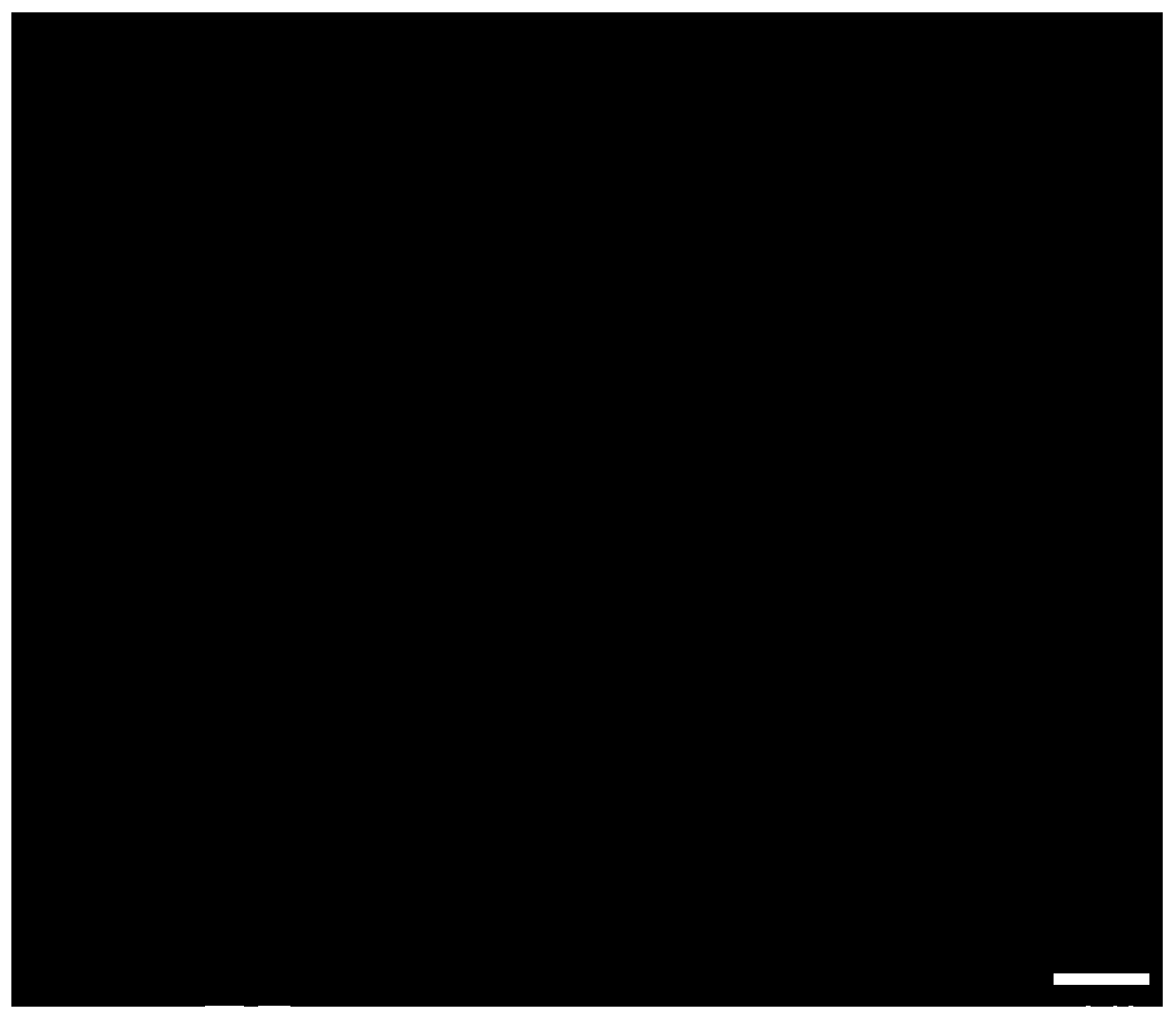 A bismuth iodide two-dimensional material, its preparation and application