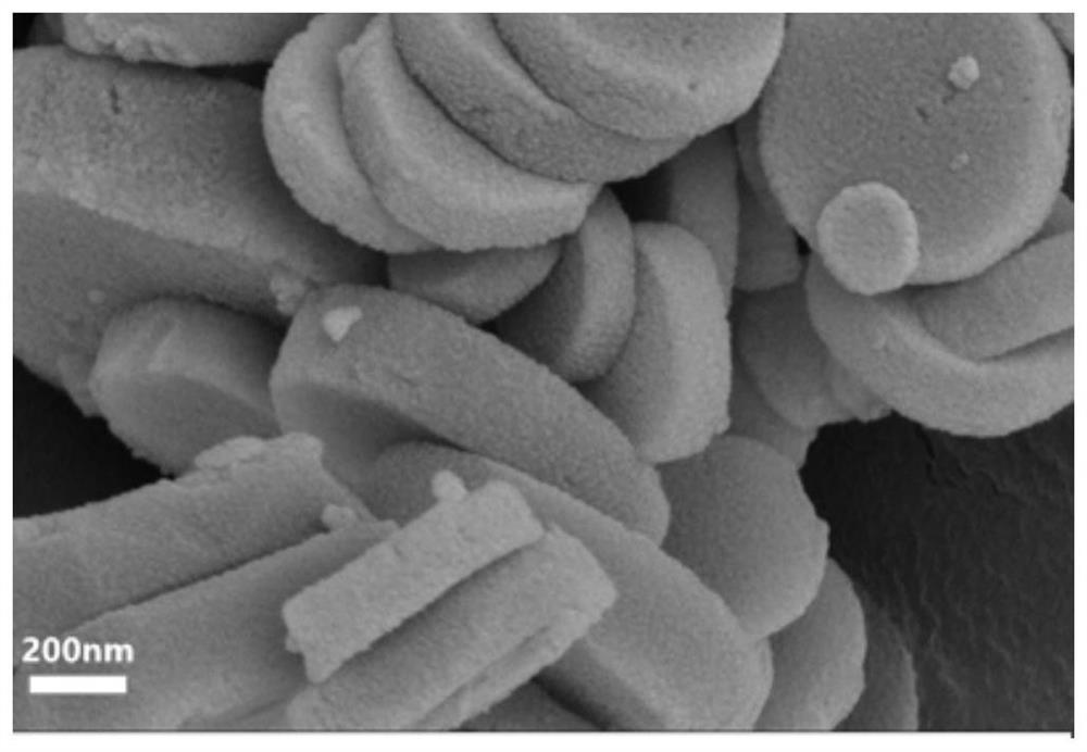 Photocatalyst as well as preparation method and application thereof