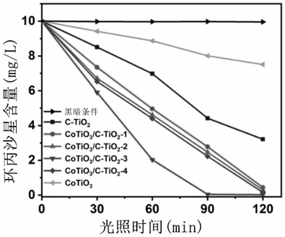 Photocatalyst as well as preparation method and application thereof