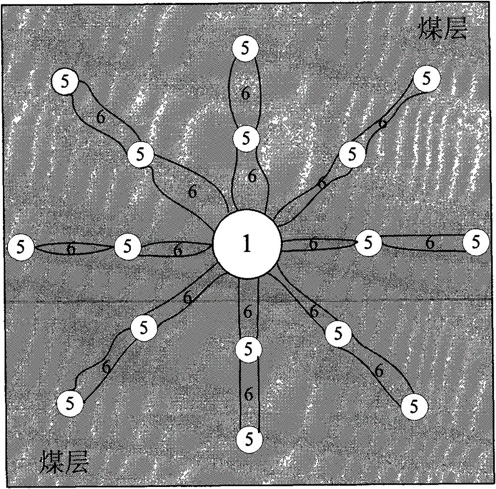 Method for exploiting coal bed methane (CBM) by water transportation and pressure relief in butted well