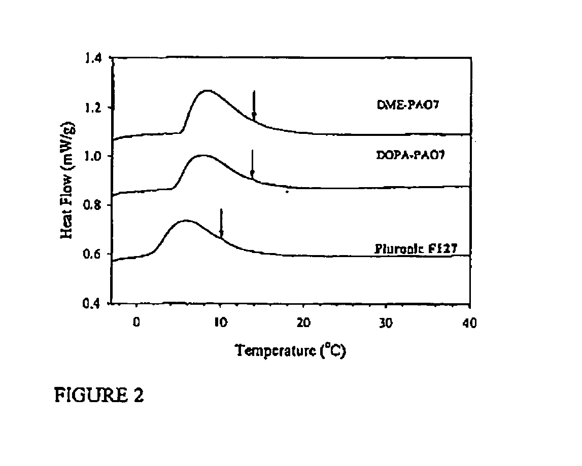 Polymeric compositions and related methods of use